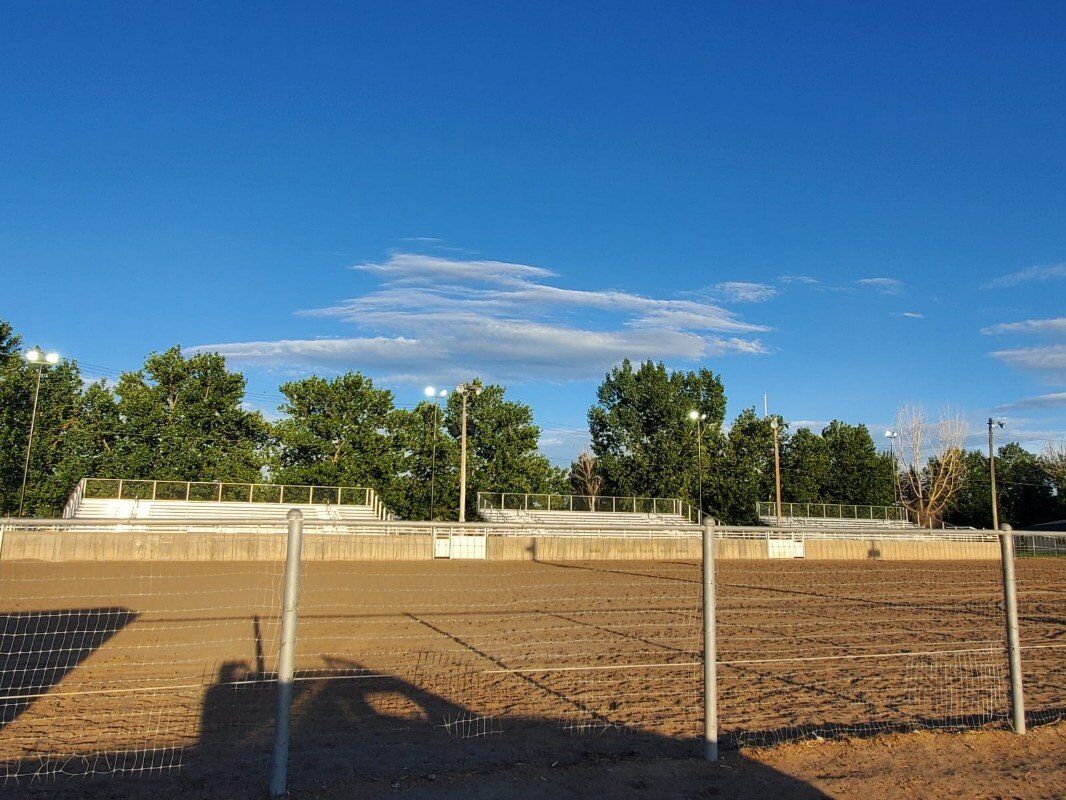 Racecourse lights