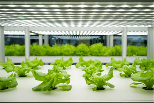 Светодиодная панель для выращивания растений
