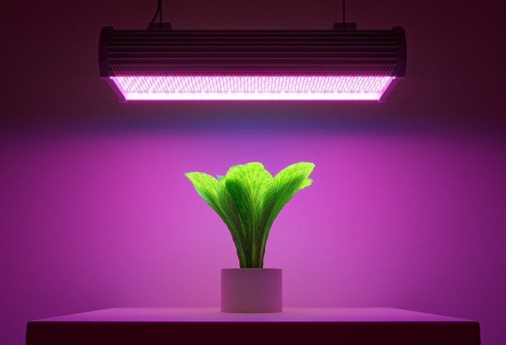 Лучшие лампы для выращивания растений