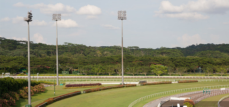 LED horse arena sports lights