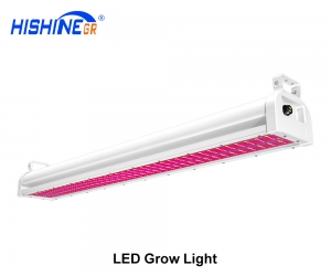 Led Grow Light