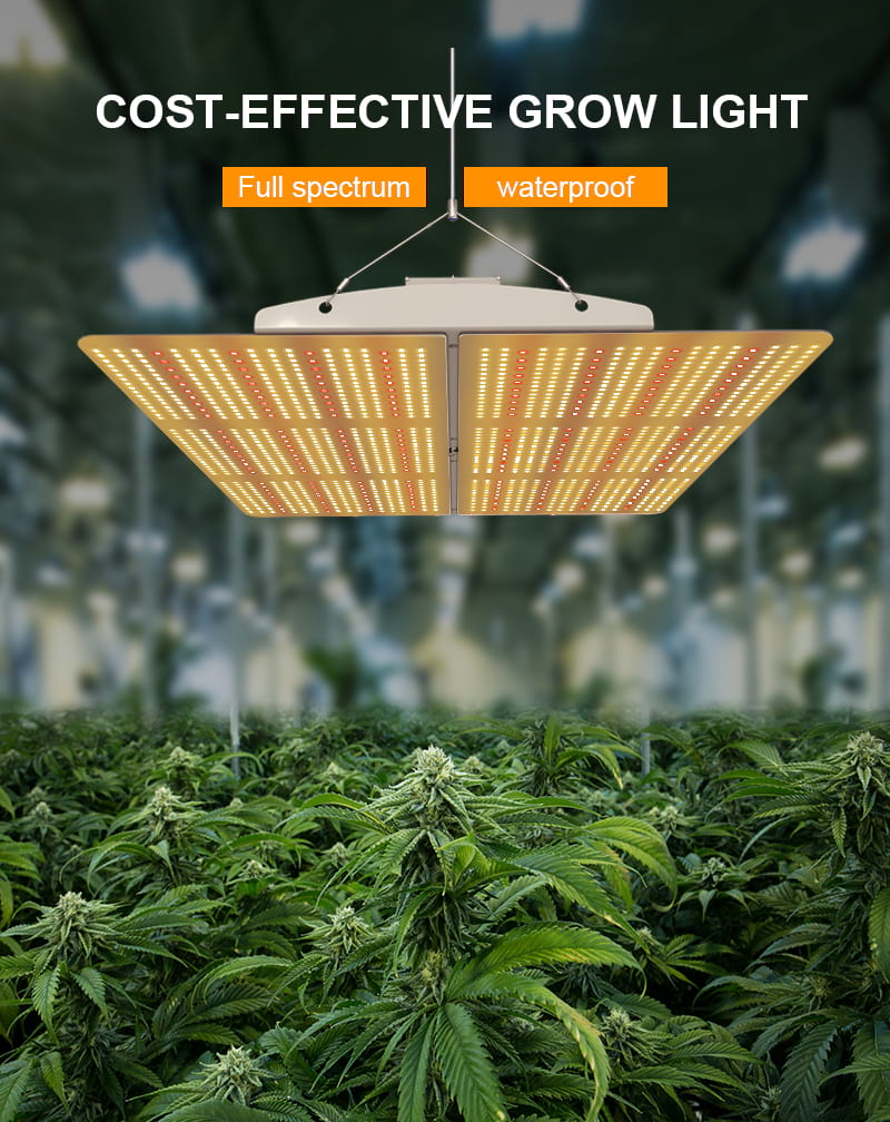 600 Watt Quantum Board Grow Light