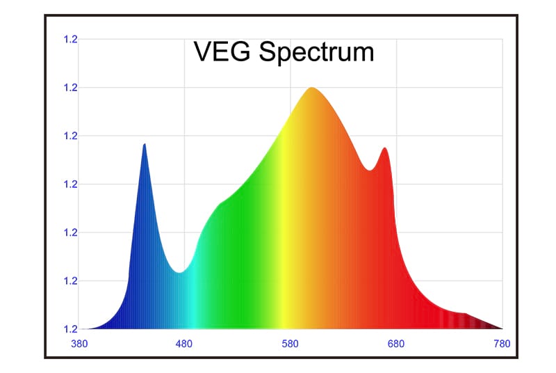 PG02 VEG Полный спектр