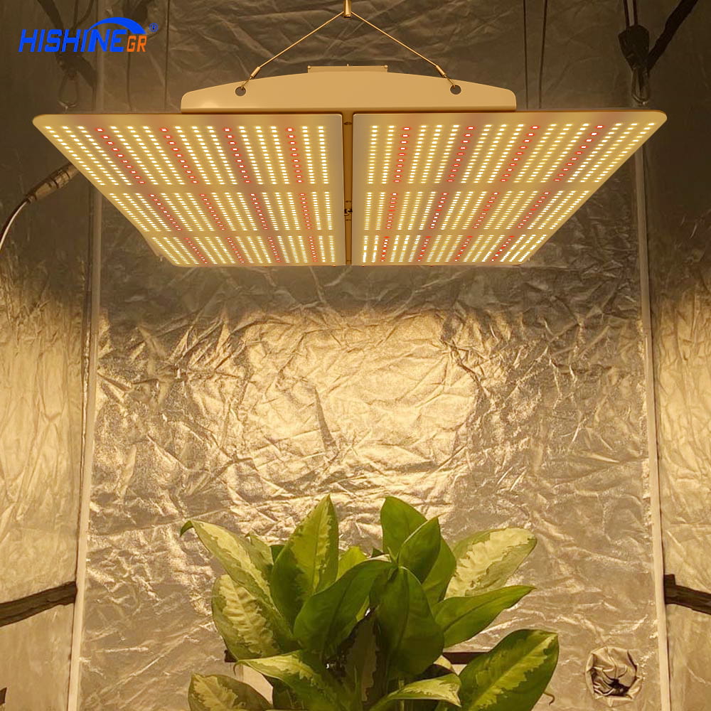 PG02 600W LED Grow Light