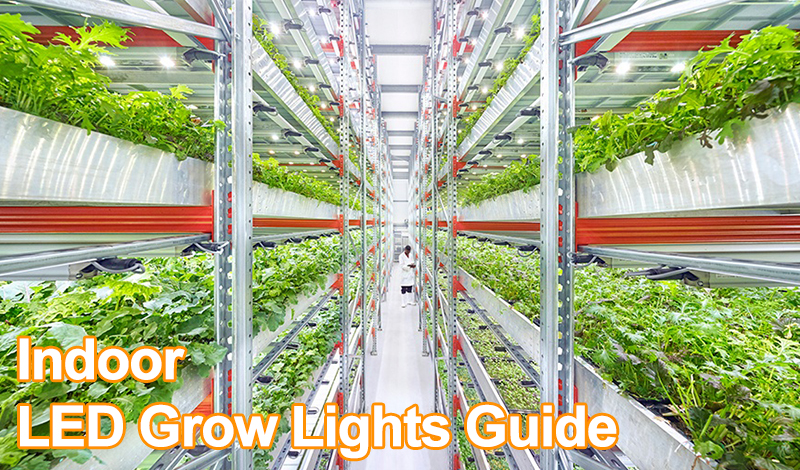 Руководство по светодиодным светильникам для выращивания в помещении