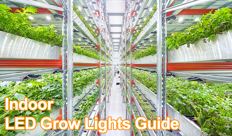 Indoor LED Grow Lights Guide