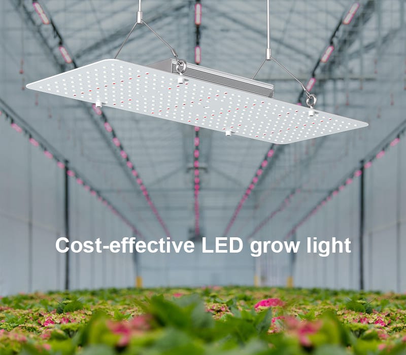 PG02 200W LED Grow Light