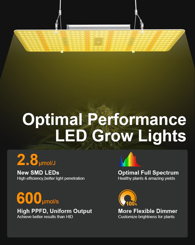 Optimal Performance LED Grow Lights
