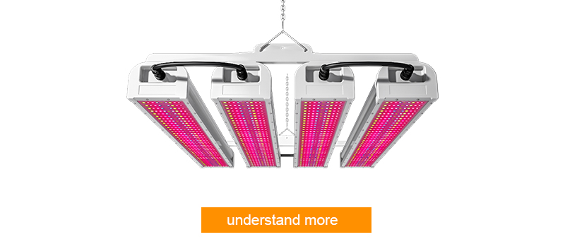 Best PG01 Full-spectrum LED grow lights