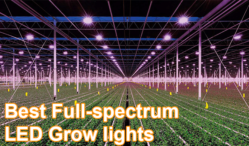 Best Full-spectrum LED Grow lights