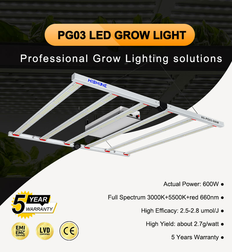 PG03 LED Grow Light 600W