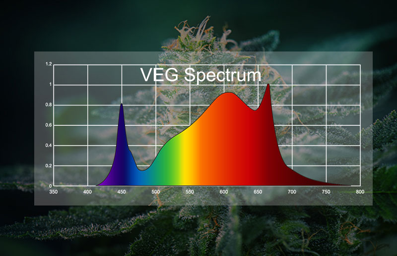 PG03 800W LED Grow Light full spectrum