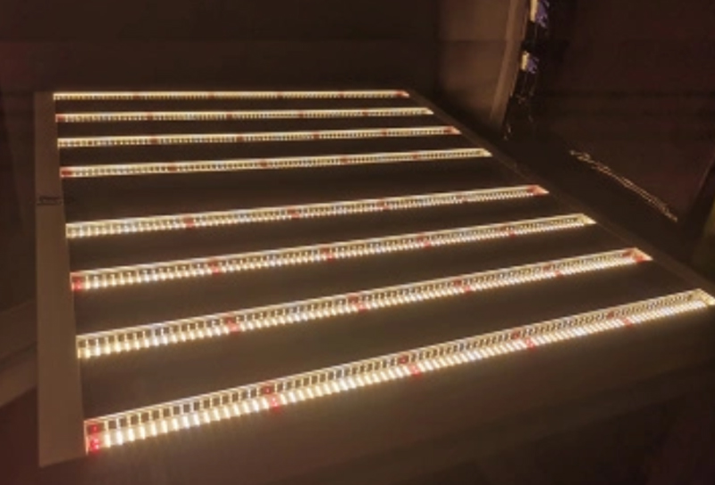 PG03 600W LED Grow Light application