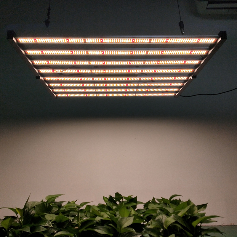 PG03 600W LED Grow Light