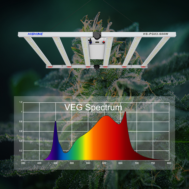 PG03 600W LED Grow Light