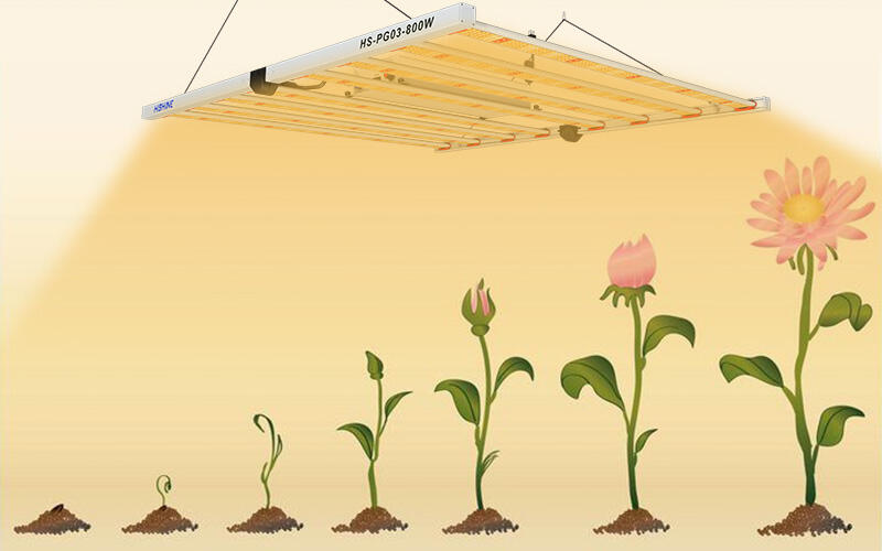 Why is LED Grow Light better