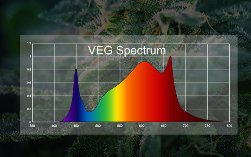 The main difference between the chips of regular led light and led plant growth lights: