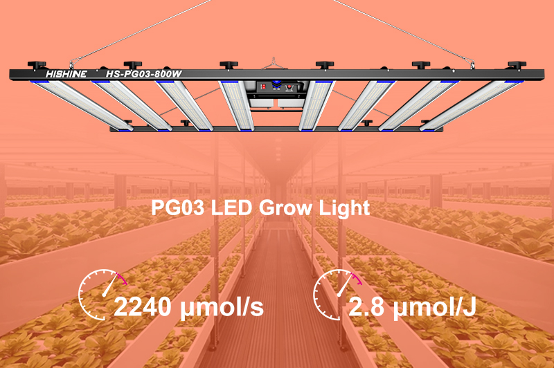 Светодиодные лампы для выращивания растений полного спектра мощностью 800 Вт
