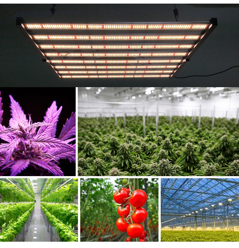 800W Commercial Planting Light Applications