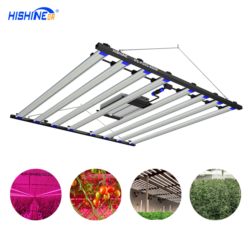 800 Watt Led Grow Light Yield