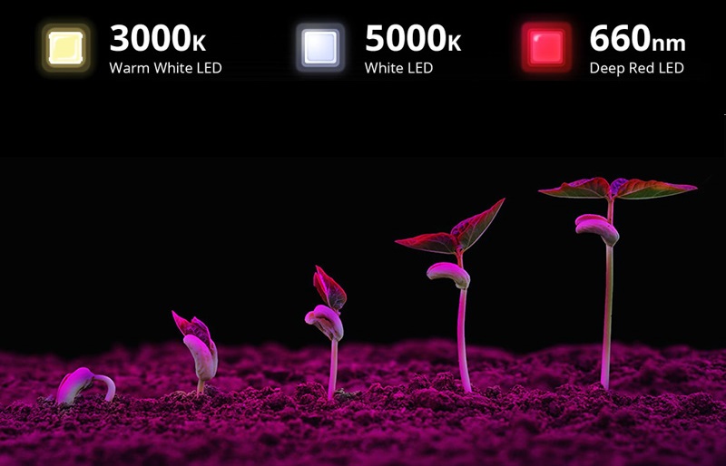Почему светодиодный светильник для выращивания растений лучше