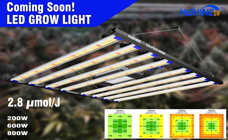 Why do professional indoor growers choice led grow light