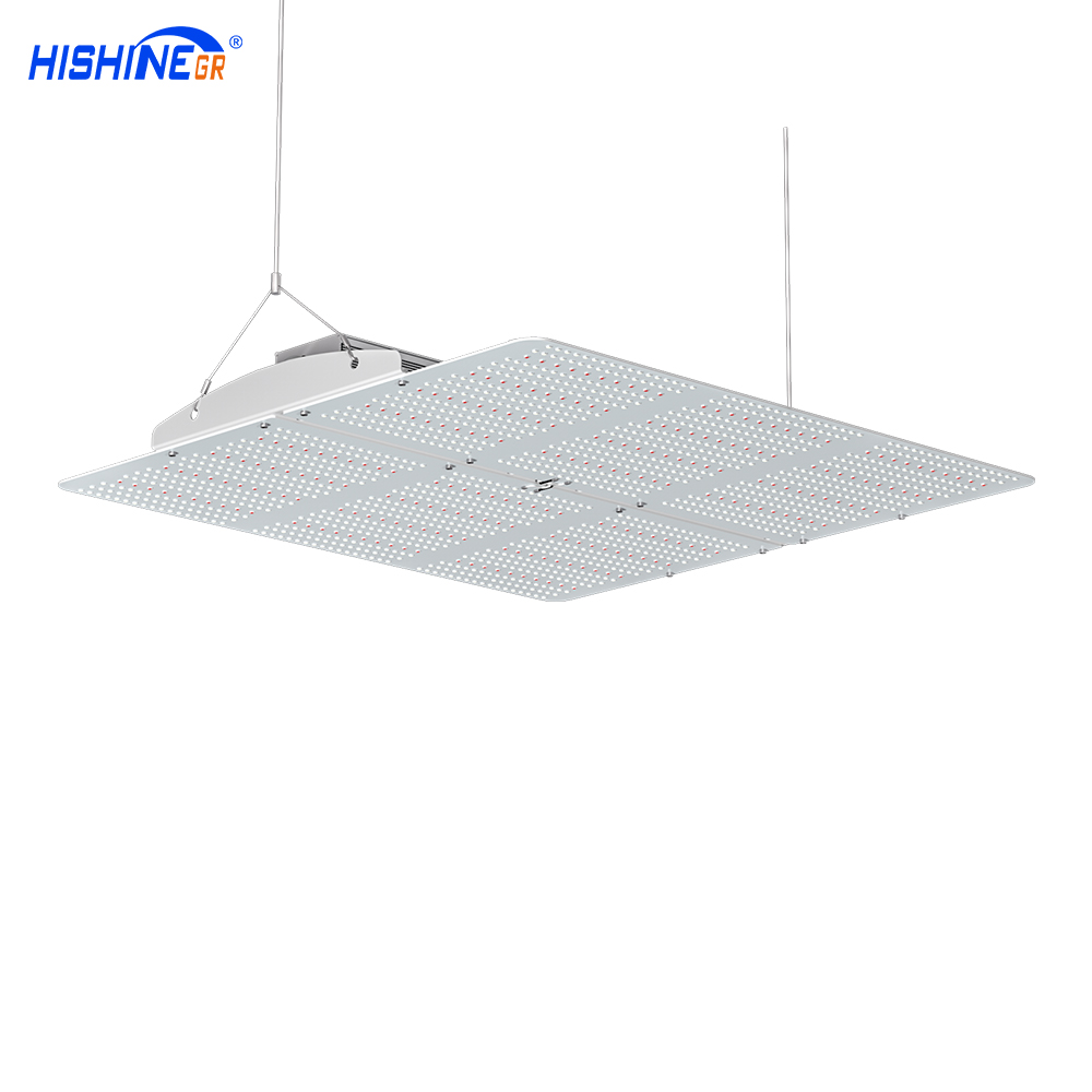 600 Watt Quantum Board Grow Light