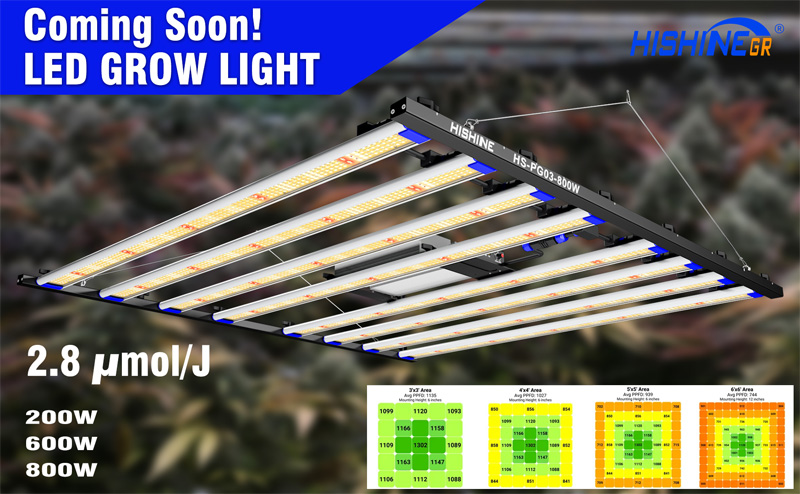 Grow Lights For Seedlings