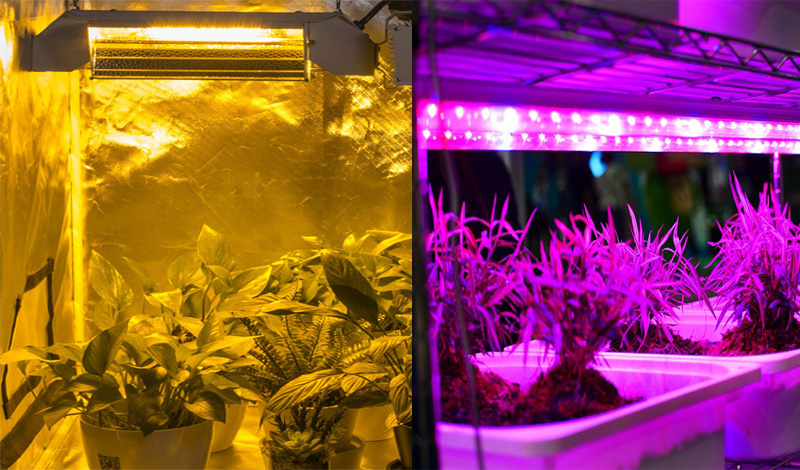 Is LED Grow Light better than HPS?