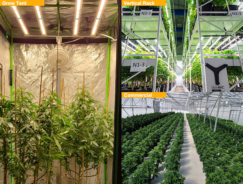 Новейший светодиодный светильник для растений мощностью 1000 Вт - 5x5 футов полный спектр света для выращивания растений