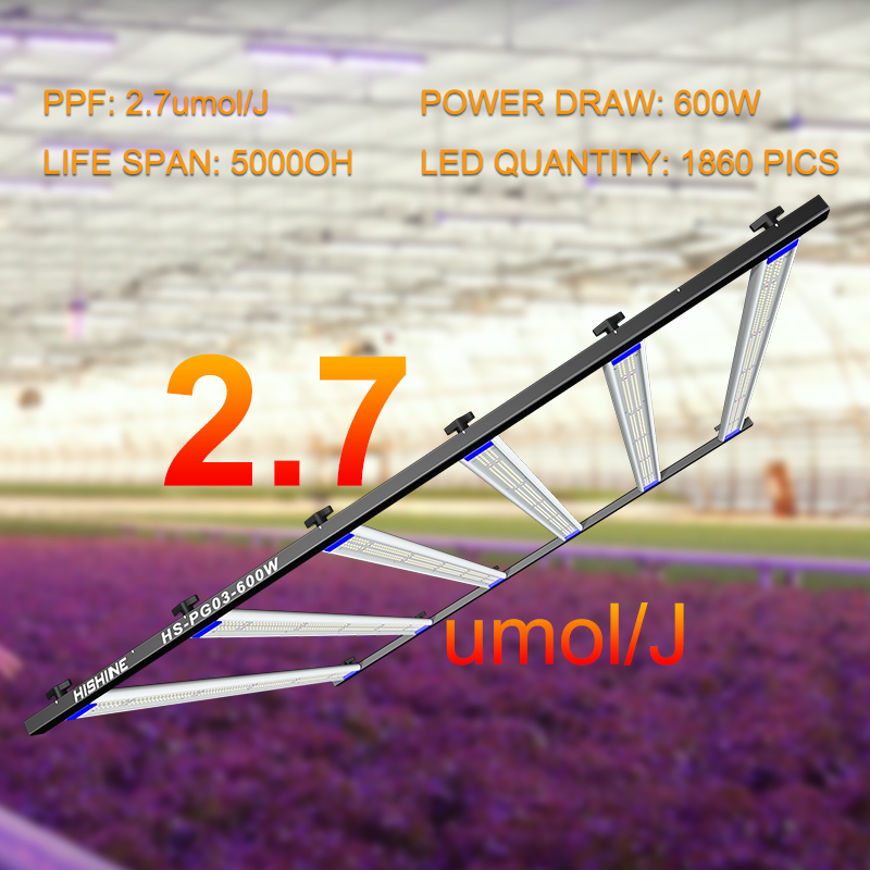 600W LED Tent  Grow Light