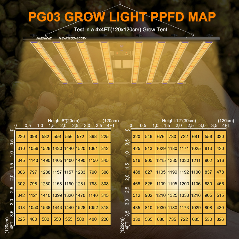 LED Grow Light 800W