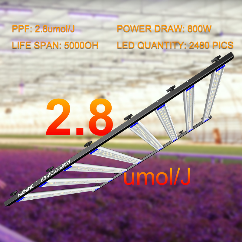 LED Grow Light 800W