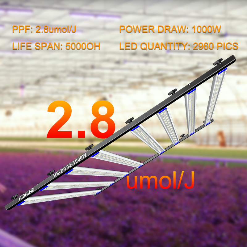 1000W LED Grow Light