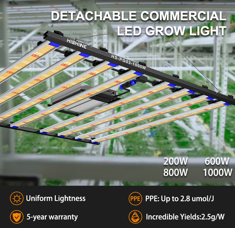 1000W СИД растет свет