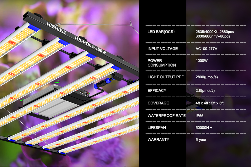 The latest 1000w LED plant light-5x5 feet full spectrum plant growth light