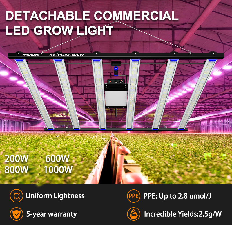 600w led grow light-high luminous efficiency-high capacity full spectrum grow light