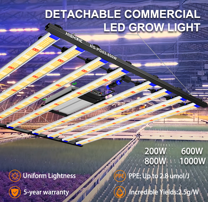 800W LED Grow Lights -  Full Spectrum Grow Lamp 