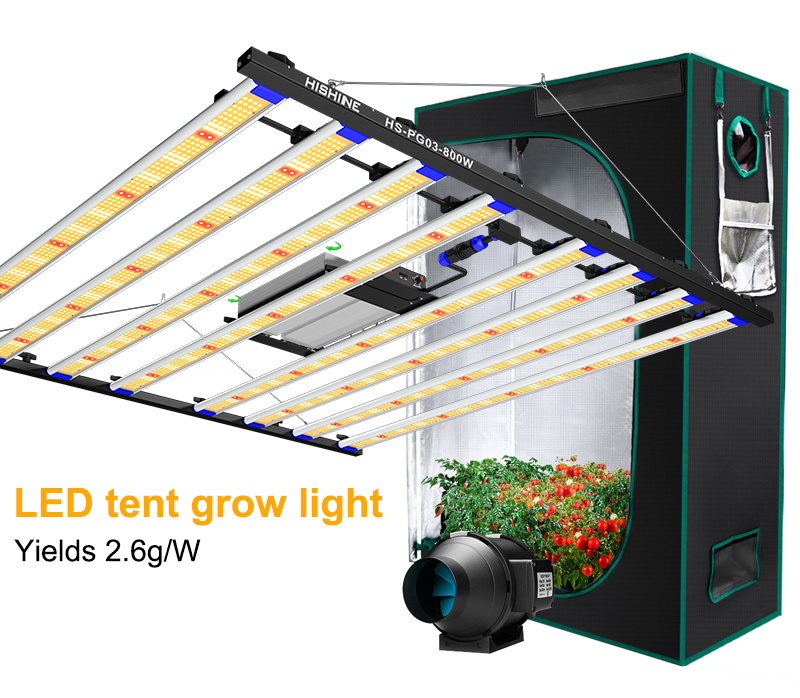 Indoor Tent Grow Lights