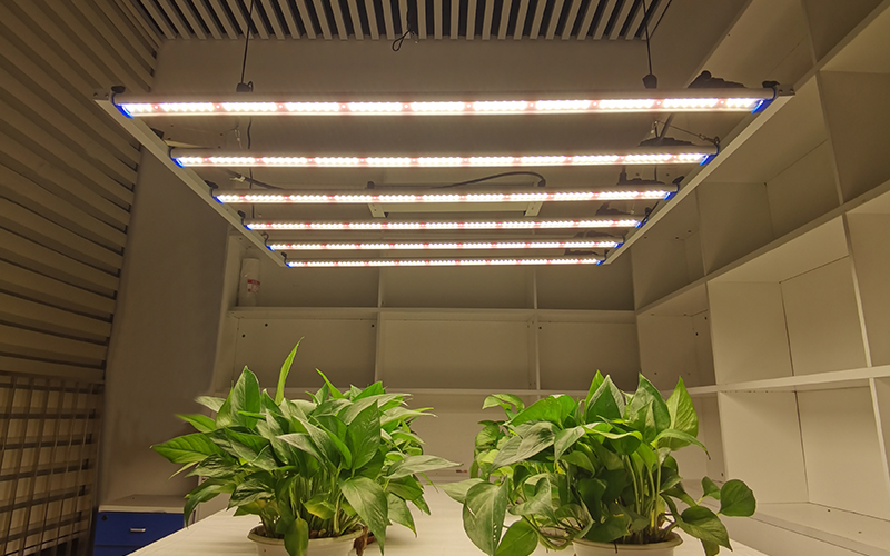 Лучшая рекомендация 1000 Вт Grow Light