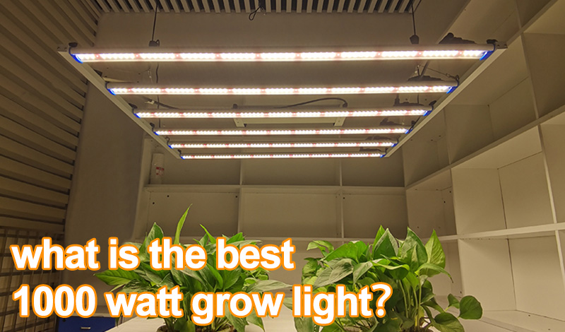 Какая лучшая лампа для выращивания на 1000 ватт?