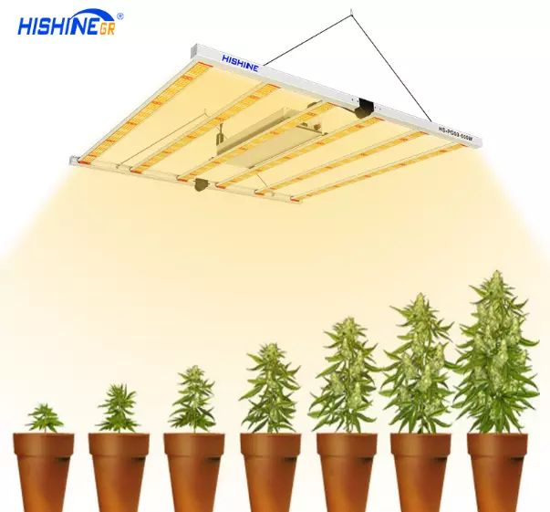How to use LED grow lights correctly, and precautions for using LED grow lights