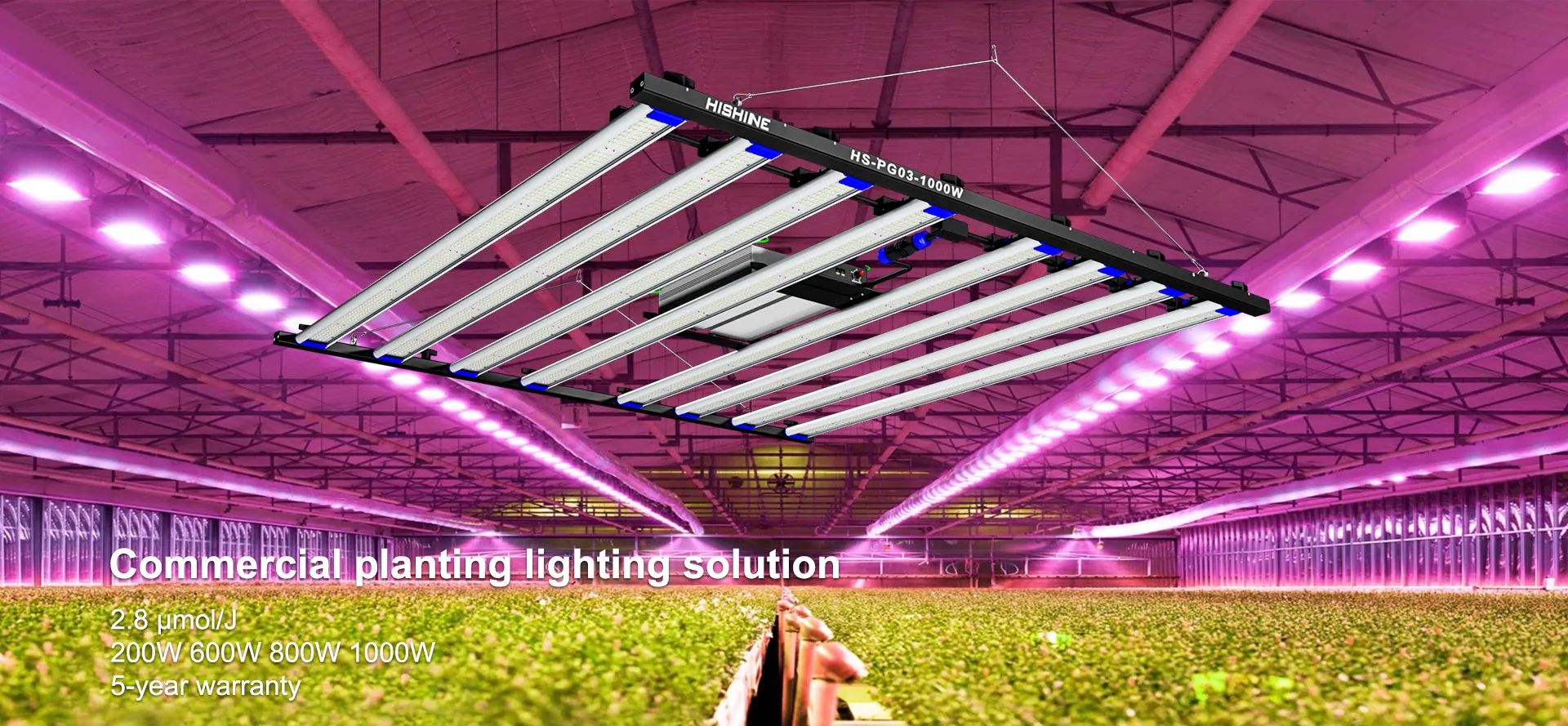  How to choose  full spectrum led plant grow light