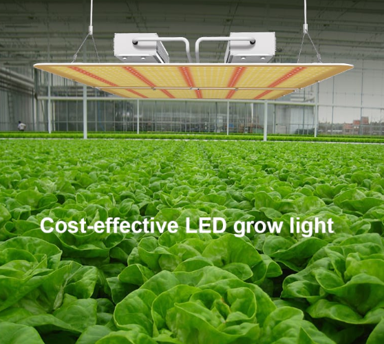 Светодиодные лампы для выращивания растений PG02