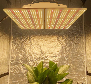 600W PG02 Grow Light