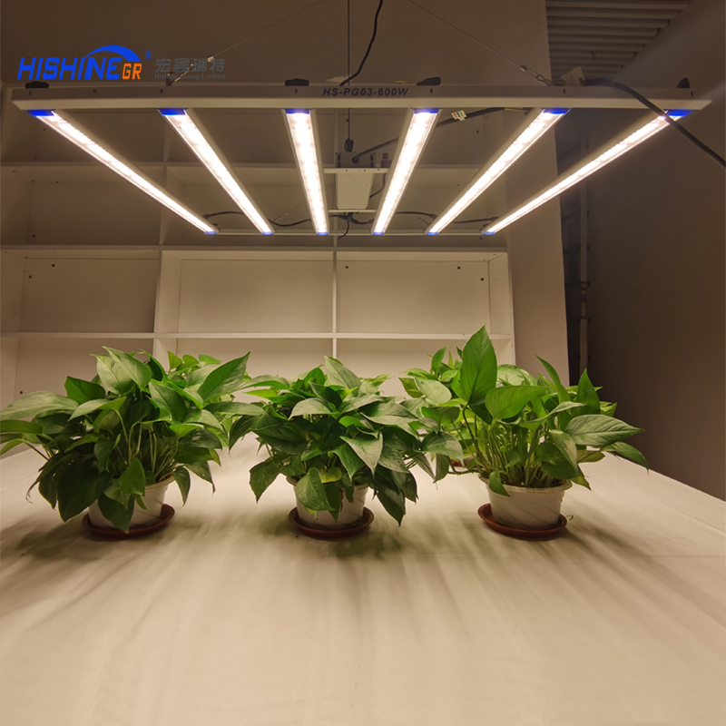 Как правильно выбрать и использовать лампы для роста растений？