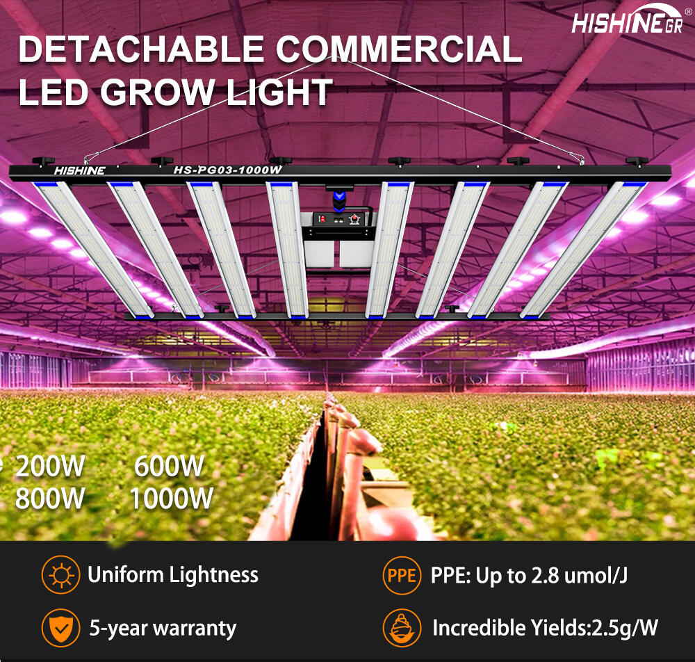 The principle and characteristics of plant growth lights