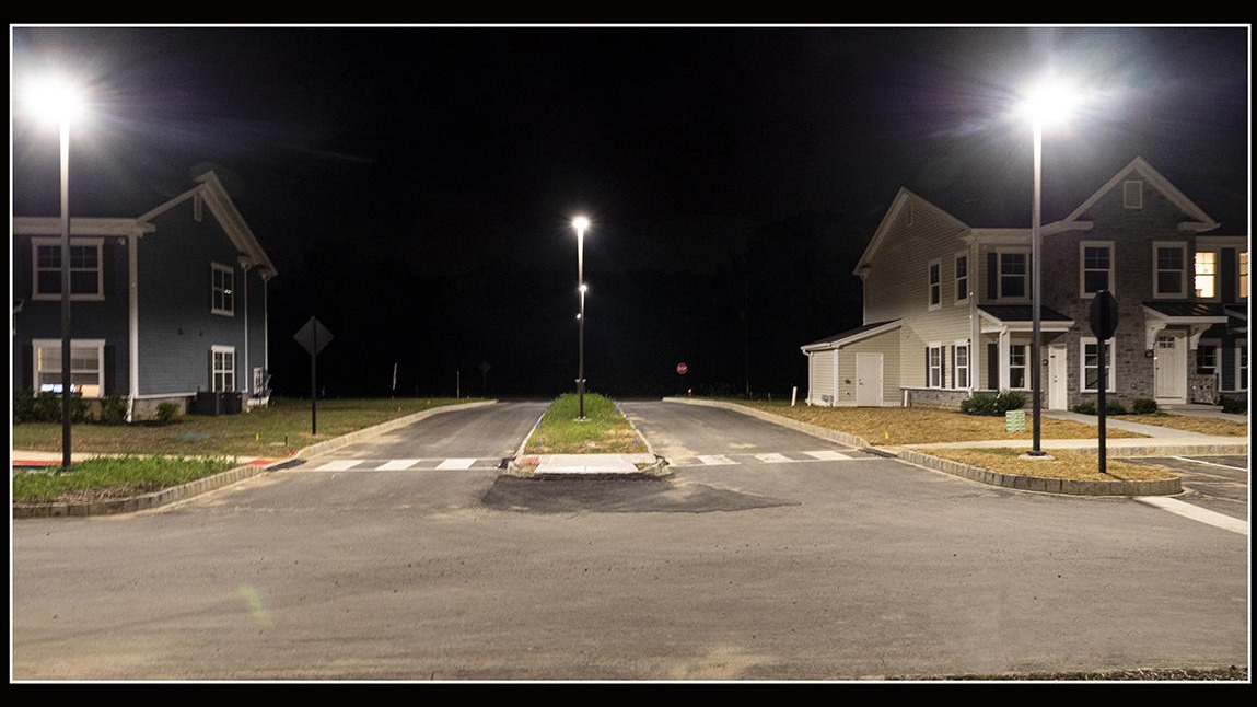 The Impact of Streetlights on Wildlife and the Environment