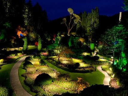 Which is The Best Light for Your Garden?