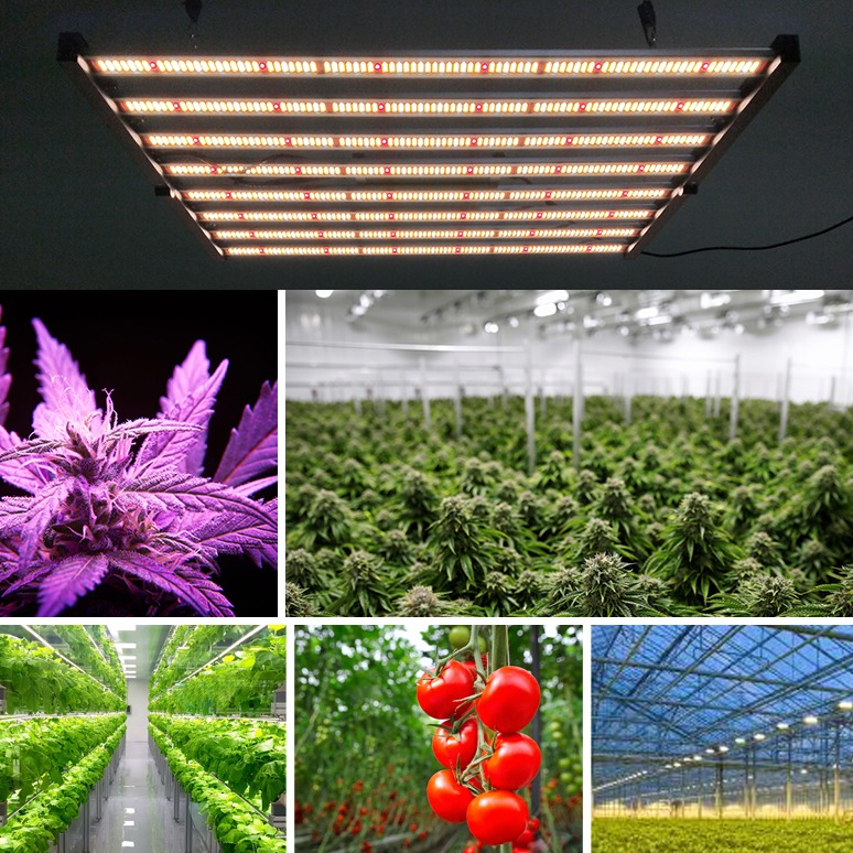 What Is Grow Light And Does Grow Lights Burn Plants?